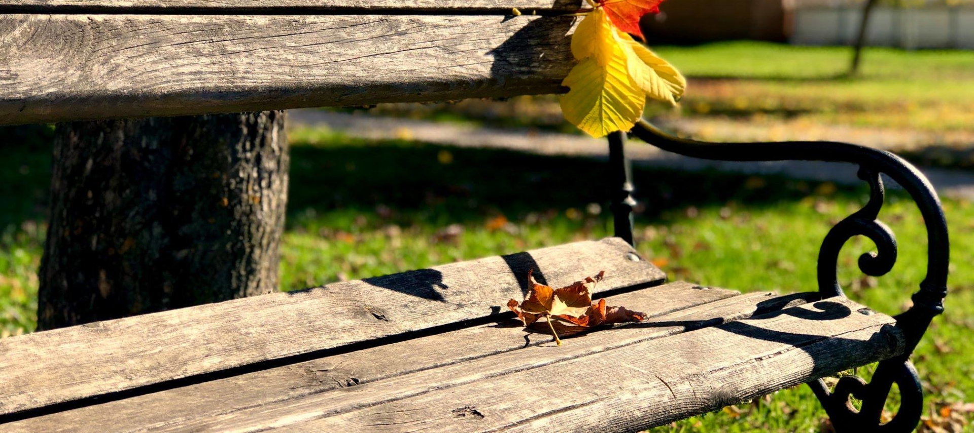 The colors autumn are back again